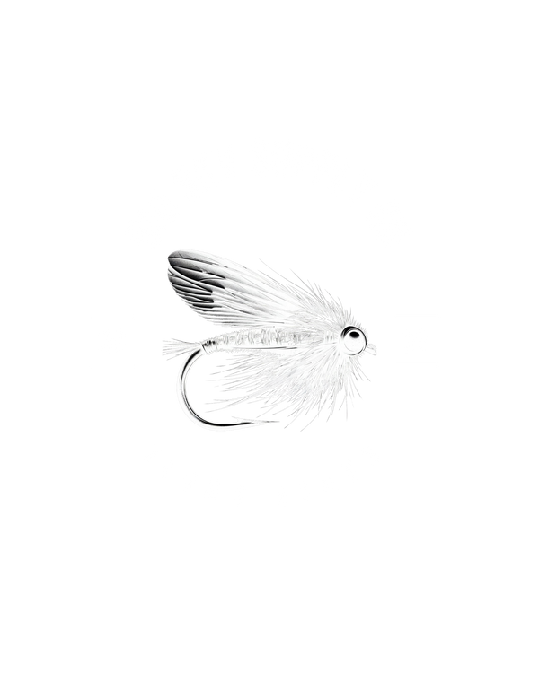 Big Sky Supply Co